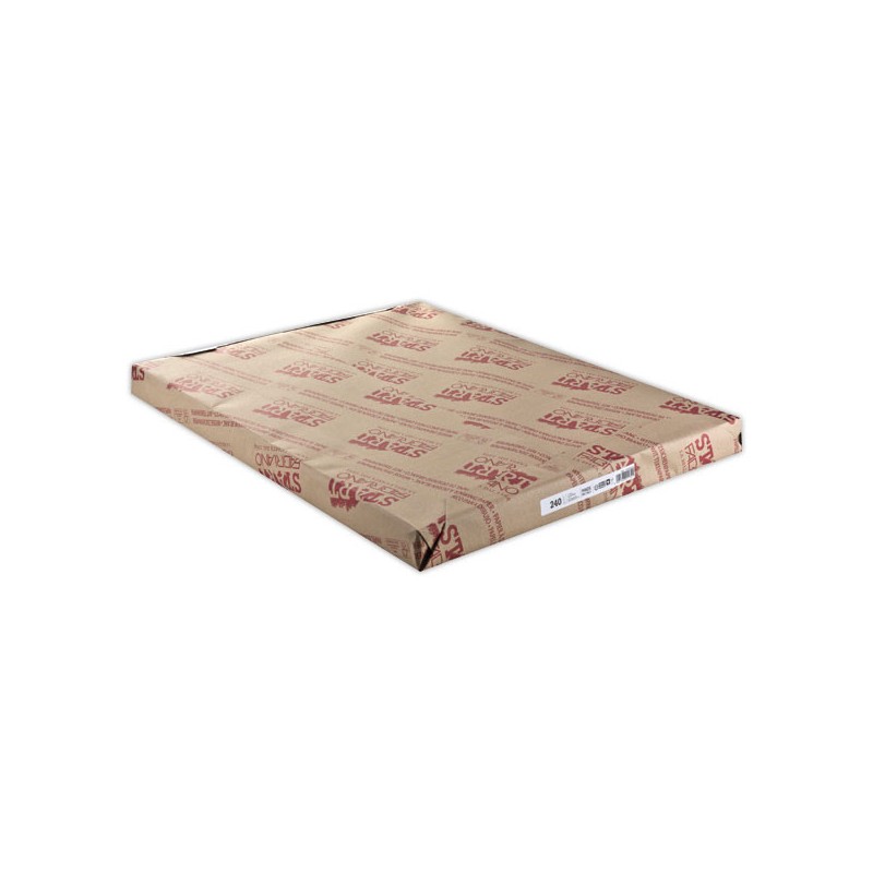 Feuilles de papier dessin blanc formatraisin (50 x 65 cm) - 240 g  x125 - Fiducial