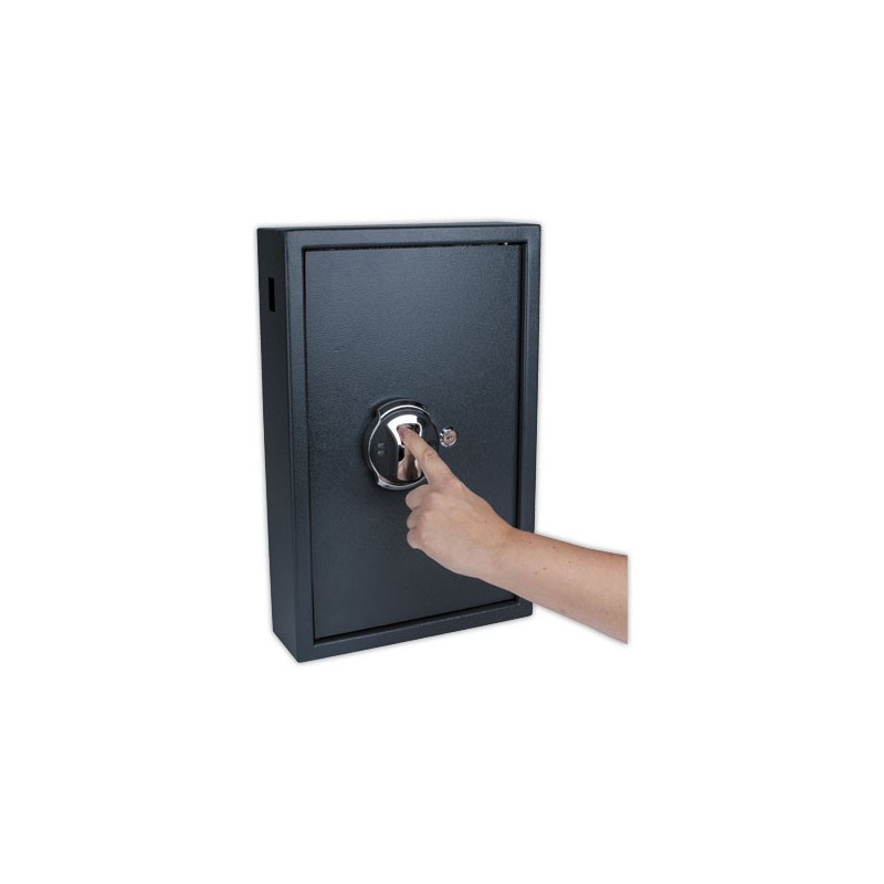 Armoire à clés Haute Sécurité Empreinte Digitale PAVO - 50 clés  - Fiducial
