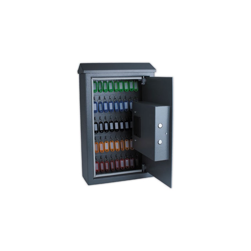 Armoire à clé extérieur 50 clés  - Fiducial