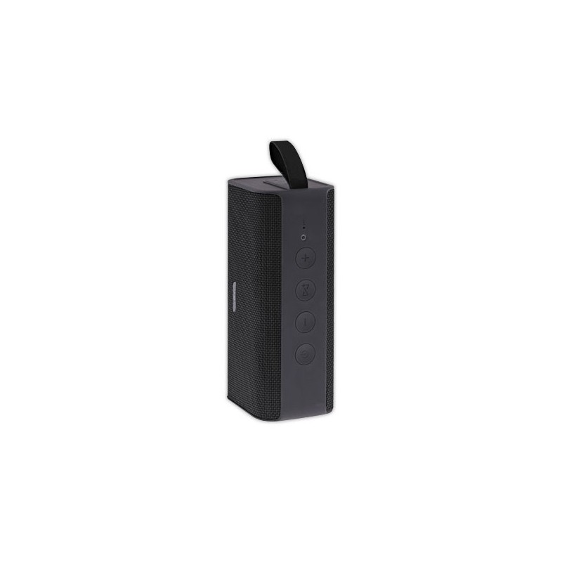 Enceinte Bluetooth 10W RECORD - T'Nb