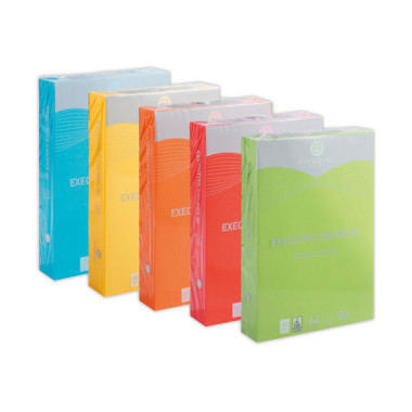 Ramette de 500 feuilles papier A4 80g EXECUTIVE CLR vive FIDUCIAL - Fiducial Office Solutions