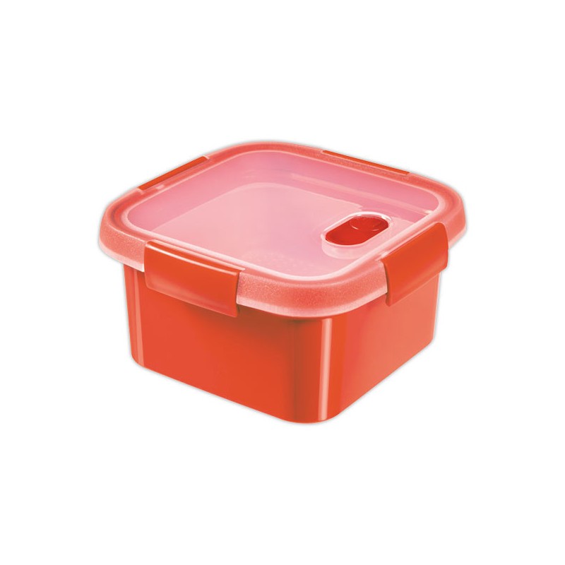 Cuit vapeur Smart Micro-ondes carré 1.1L - Curver