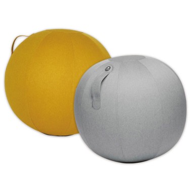 Ballon assise ergonomique diamètre 65 cm - Leitz