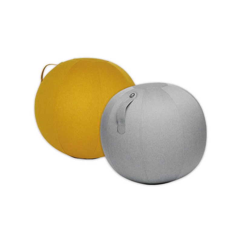 Ballon assise ergonomique diamètre 65 cm - Leitz