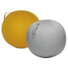 Ballon assise ergonomique diamètre 65 cm - Leitz