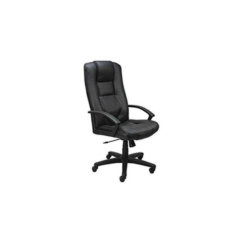 Fauteuil cuir Laguna monté - Shopdeschefs