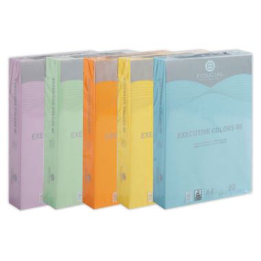 Ramette de 500 feuilles papier A4 80g EXECUTIVE CLR Intense FIDUCIAL - Fiducial Office Solutions