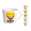 Mugs en porcelaine 40 cl - Décors assortis x6 - Shopdeschefs