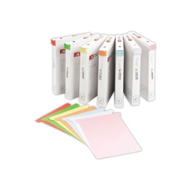 Fiches T indice 4 x100 - Nobo