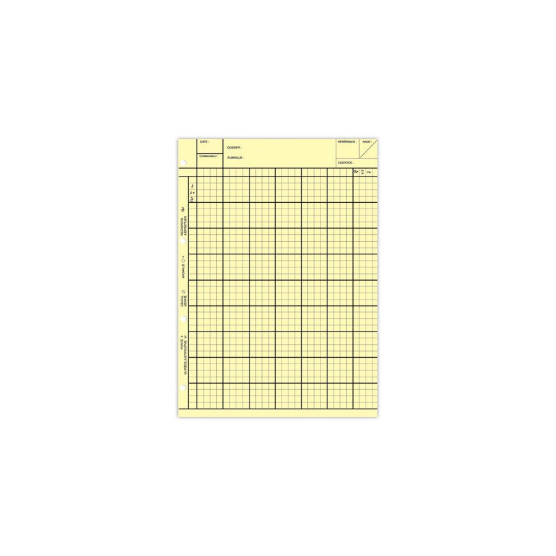 Blocs de feuilles spéciales Révision -jaune pour dossier annuel x5 - Shopdeschefs