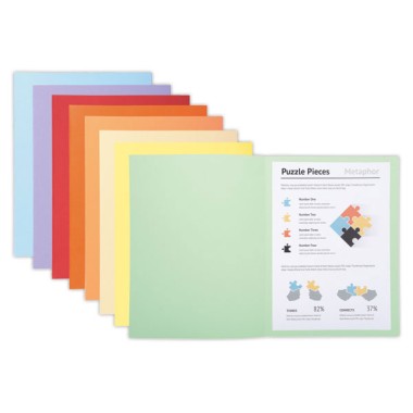 Chemises 24 x32 cm "Super 210" Exacompta x100 - Exacompta