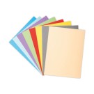Chemises 24x32 cm Exacompta Forever 170 recyclées - 170 g x100 - Exacompta