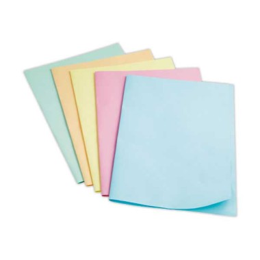 Sous-chemises FIDUCIAL 22x31cm- Pastel- 60g x250 - Fiducial Office Solutions