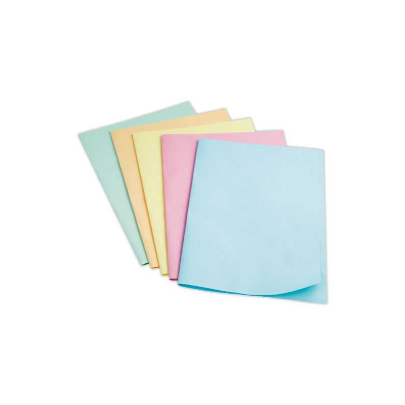 Sous-chemises FIDUCIAL 22x31cm- Pastel- 60g x250 - Fiducial Office Solutions