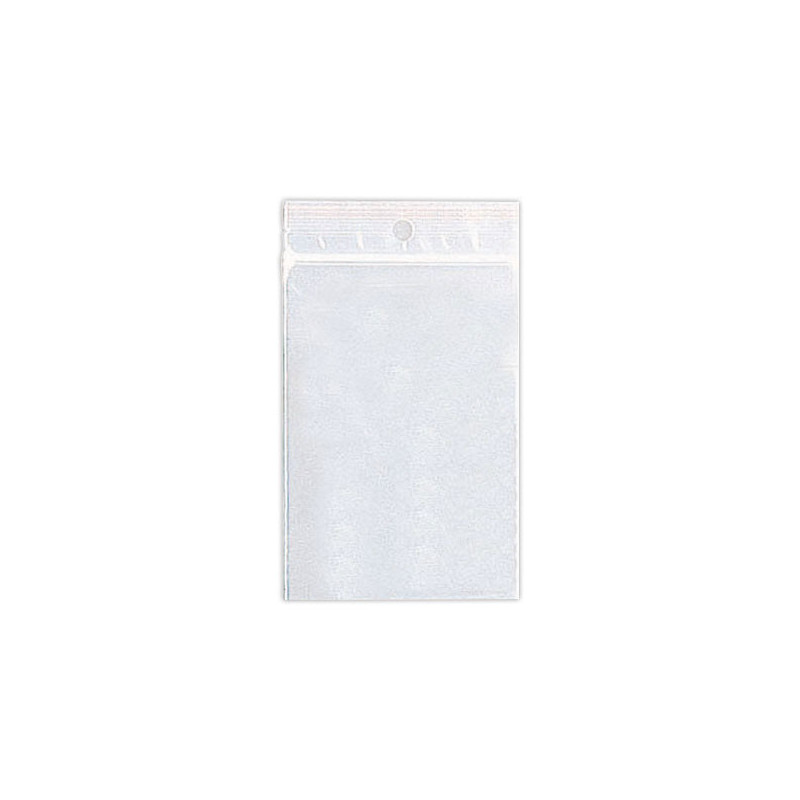 Sachets plastique transparents 230x320mm x100 - Shopdeschefs