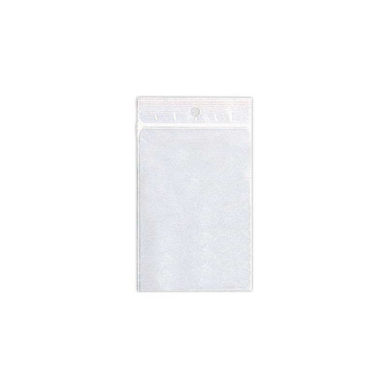 Sachets plastique transparents 300 x 400 mm x1000 - Shopdeschefs