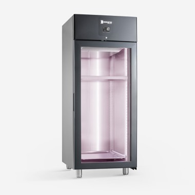Armoire de maturation vitrée noire 876 litres R290 - Samaref