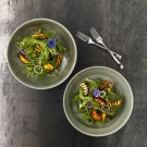 Assiette Plate Evolve Vert Patiné Fini Pierre 8.67" / 217 mm - Finedine