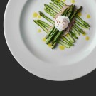 Balance Alchimie Blanche Assiette Cupe 12" / 305 mm - Finedine