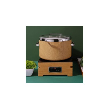 Plaque à induction encastrable 1000 W, 350x350mm - Finedine
