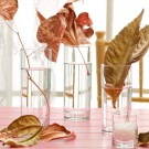 Verre long drink Liberty 360 ml, Lot de 6 - Finedine