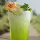 Verre long drink Aras 365 ml, Lot de 6 - Finedine