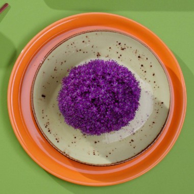 Assiette plate Olive profonde, 230 mm - Finedine