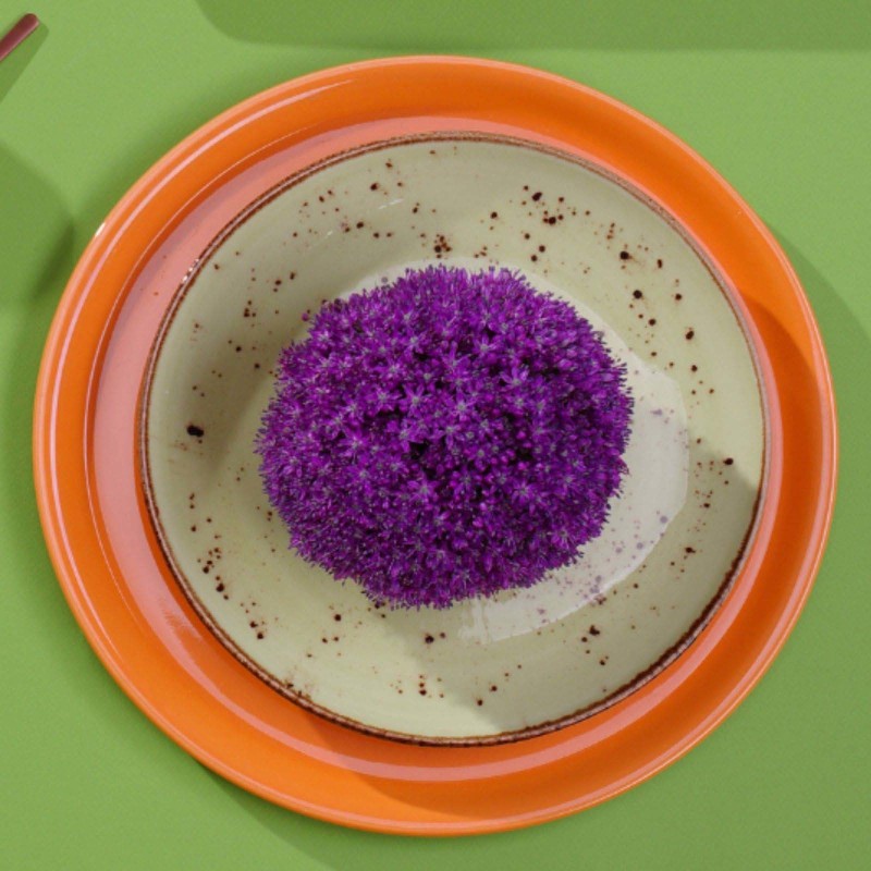 Assiette plate Olive profonde, 230 mm - Finedine