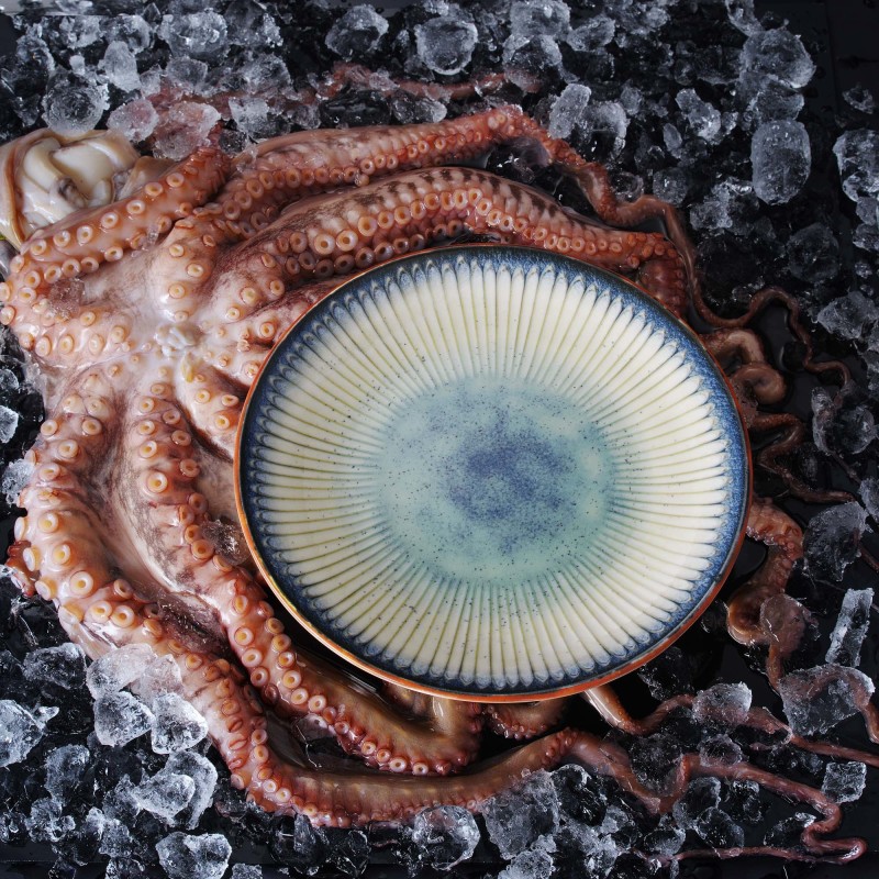 Assiette à bord haut Galaxy, 290 mm - Finedine