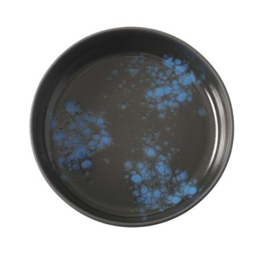 Bol peu profond Flora, 200x(h)40mm - Finedine