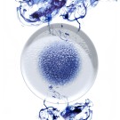Assiette plate Serenity, 270 mm - Finedine