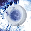 Assiette plate Serenity, 270 mm - Finedine