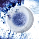 Assiette plate Serenity, 300 mm - Finedine