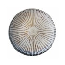 Assiette plate ammonite 300 mm - Finedine