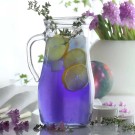 Carafe Misket 1,8 l, Lot de 6 - Finedine
