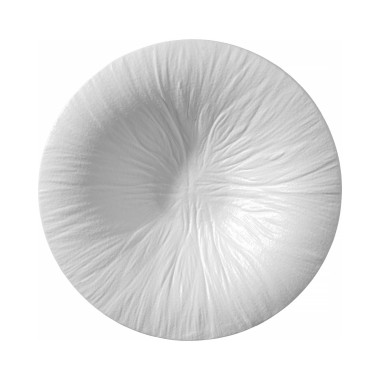 Assiette à pâtes Fiord 250 mm - Finedine