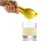 Presse-citron, 223x75x45mm - Finedine