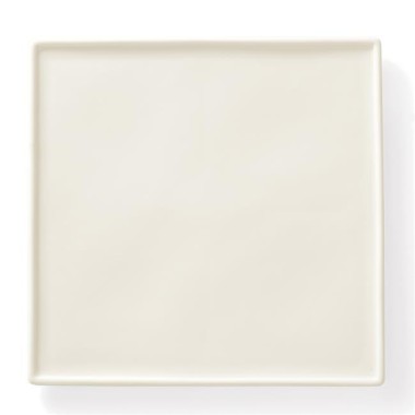 Assiette plate carrée - 265x265x(H)15mm - Finedine