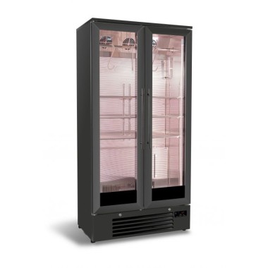 Armoire de maturation 458 L - Combisteel