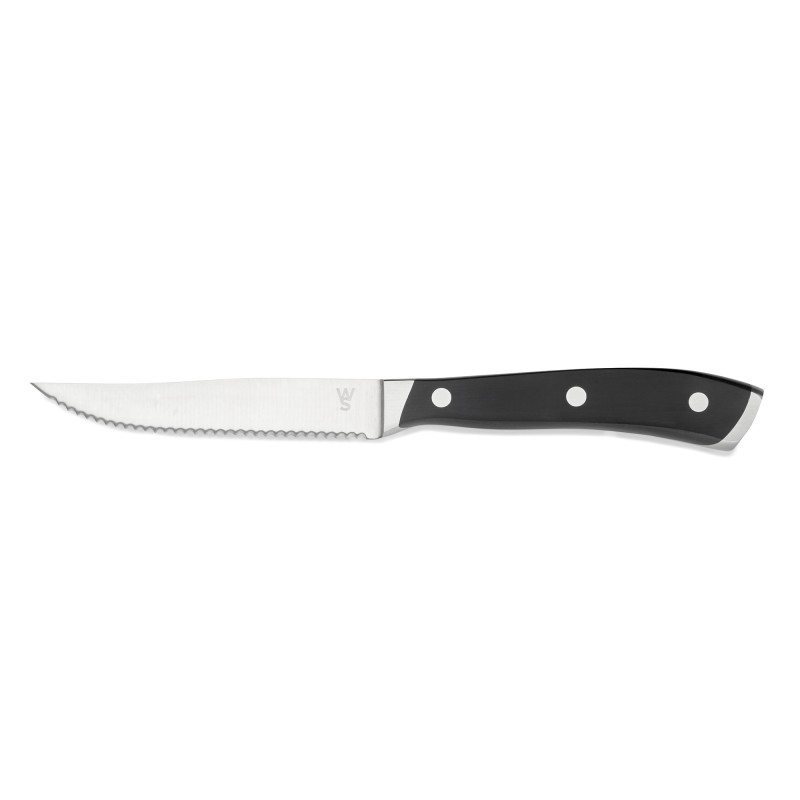Lot couteaux à steak avec manche en plastique ABS, 23 cm, Lot 6 , plastique ABS, acier chromé 13/0 - Was Germany