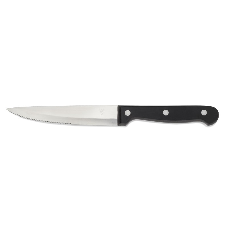 Lot couteaux à steak avec manche en plastique POM, 25 cm, Lot 6 pcs, polyoxyméthylène, acier chrome 13/0 - Was Germany