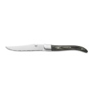 Lot couteaux à steak CARLOS avec poignée en bois pakka gris, 23 cm, Lot 6 , acier de lame 420, bois - Was Germany