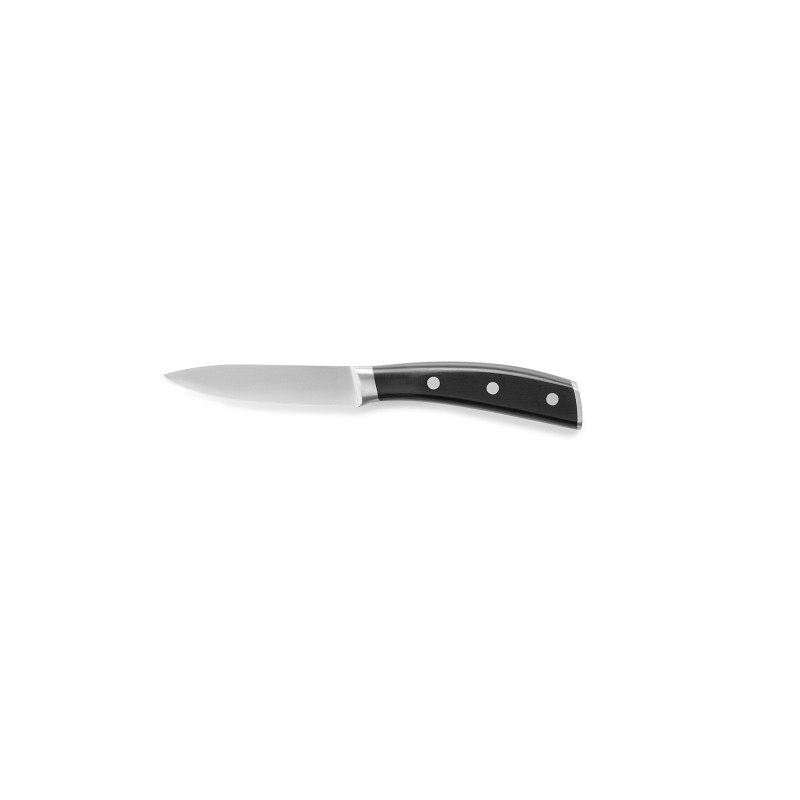 Couteau à larder CLASSIC STYLE, 20,5 cm, acier de lame 420, acier inoxydable - Was Germany