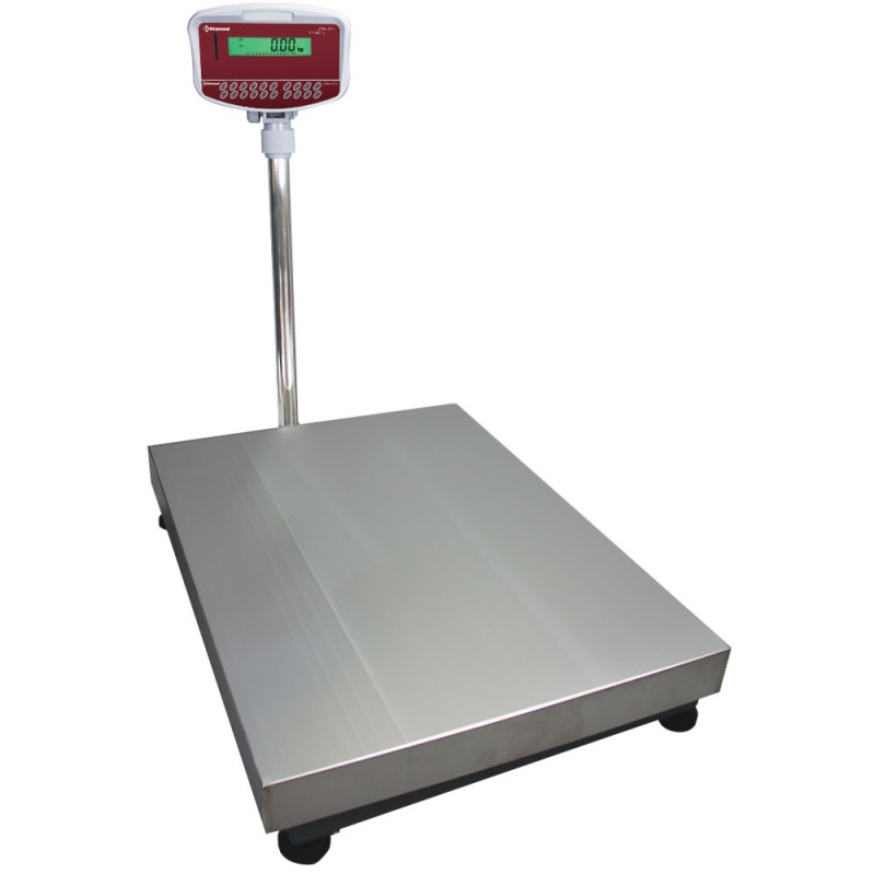 DIAMOND - Bascule électronique inox colonne - 150kg x 10g