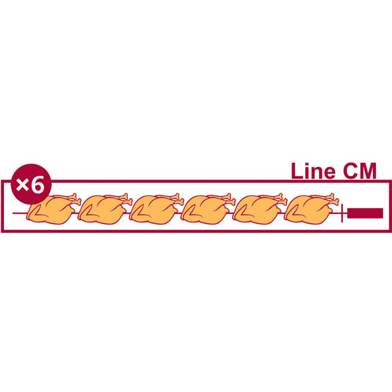 DIAMOND - Rôtissoire gaz 4 broches ( 24 poulets )